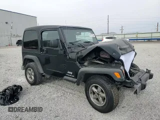 2003 Jeep Wrangler SE with VIN 1J4FA29113P351844, listed as a Copart auction lot 81411324 with 53,525 mi miles and Salvage title. Bid and sale history available at DreamBid. Image 11.
