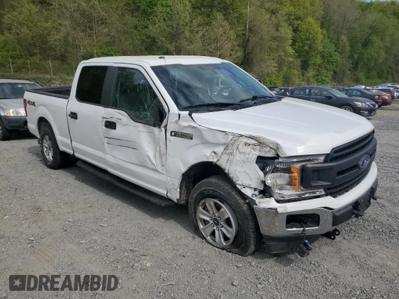 2019 Ford F-150 XL with VIN 1FTFW1E51KFC28124, listed as a Copart auction lot 54140585 with 14,881 mi miles and Salvage Title. Bid and sale history available at carsss.com. Image 4.