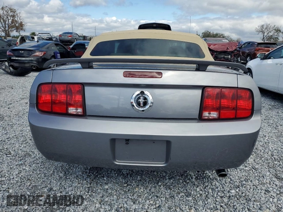 2006 Ford Mustang Standard with VIN 1ZVFT84N665265567, listed as a Copart auction lot 46153275 with 89,983 mi miles and Salvage Title. Bid and sale history available at carsss.com. Image 6.