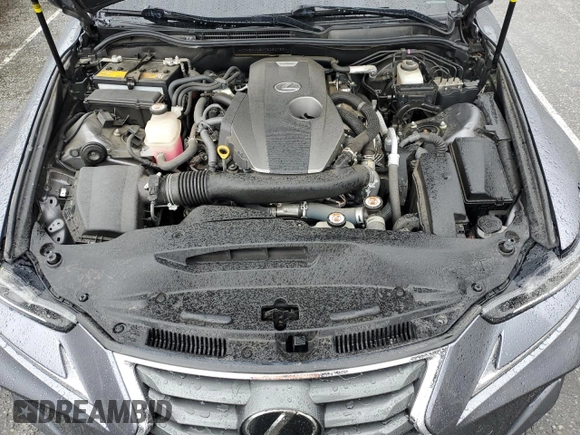 2019 Lexus IS with VIN JTHBA1D2XK5090799, listed as a Copart auction lot 48598785 with 22,079 mi miles and Salvage Title. Bid and sale history available at carsss.com. Image 11.