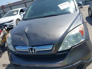 2009 Honda CR-V EX-L with VIN 5J6RE48709L049500, listed as a IAAI auction lot 41998161 with 257,068 mi miles. Bid and sale history available at carsss.com. Image 12.