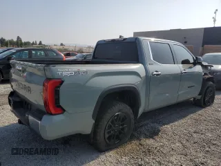 2023 Toyota Tundra Limited with VIN 5TFJA5DB6PX101006, listed as a Copart auction lot 59743765 with 10,342 mi miles and Salvage title. Bid and sale history available at DreamBid. Image 3.