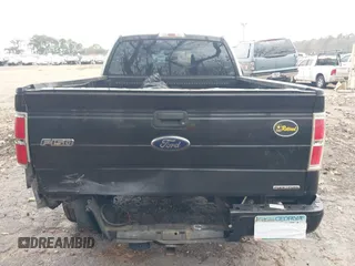 2013 Ford F-150 XL with VIN 1FTFX1CFXDFD00157, listed as a IAAI auction lot 41109981 with 226,130 mi miles. Bid and sale history available at carsss.com. Image 16.