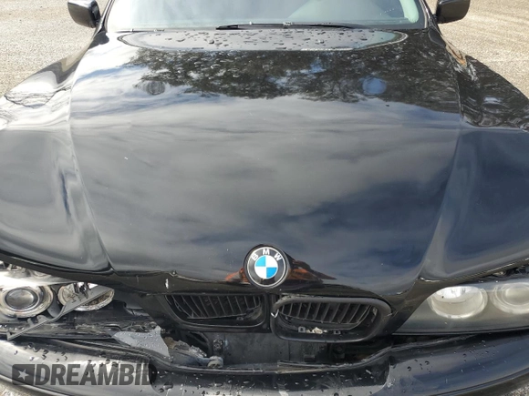 2002 BMW 5 Series 540iA with VIN WBADN63422GN86602, listed as a Copart auction lot 43392445 with 159,974 mi miles and Salvage Title. Bid and sale history available at carsss.com. Image 11.