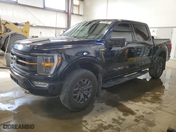 2022 Ford F-150 XL with VIN 1FTEW1E83NFC30208, listed as a Copart auction lot 48420775 with 113,374 mi miles and Clean Title. Bid and sale history available at carsss.com. Image 1.