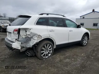 2009 Mazda CX-9 Touring with VIN JM3TB38V190176519, listed as a Copart auction lot 51087505 with 123,771 mi miles and Salvage Title. Bid and sale history available at carsss.com. Image 3.