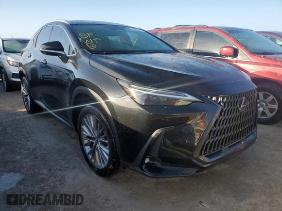 2023 Lexus NX 350h Luxury with VIN 2T2HKCEZ7PC013958, listed as a Copart auction lot 76819444 with 23,440 mi miles and Non Repairable. Bid and sale history available at DreamBid. Image 4.