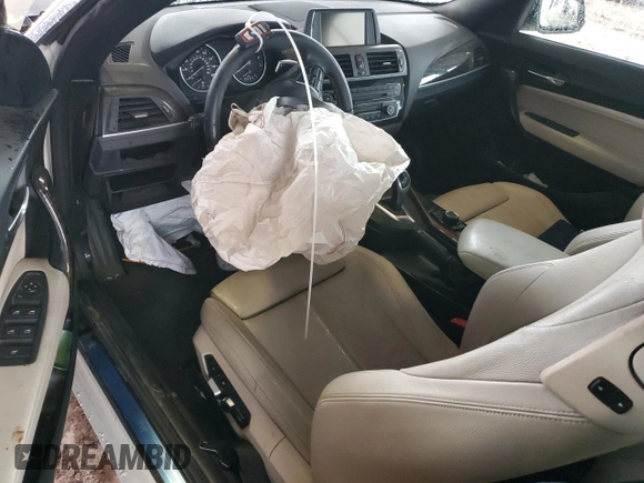 2016 BMW 2 Series 228i with VIN WBA1K9C54GV710166, listed as a Copart auction lot 48294275 with 0 mi miles and Salvage Title. Bid and sale history available at carsss.com. Image 8.