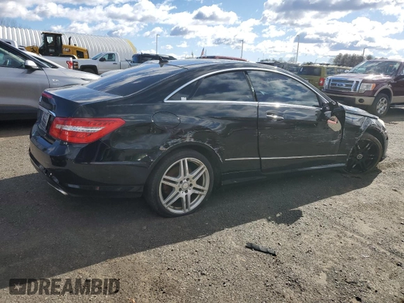 2010 Mercedes-Benz E-Class E 550 with VIN WDDKJ7CB3AF009212, listed as a Copart auction lot 48185345 with 132,734 mi miles and Clean Title. Bid and sale history available at carsss.com. Image 3.