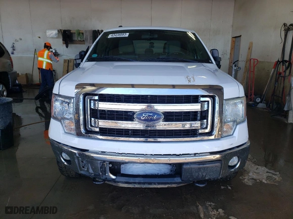 2014 Ford F-150 XL with VIN 1FTFW1EF0EFA86877, listed as a Copart auction lot 43438083 with 123,681 mi miles and Salvage Title. Bid and sale history available at carsss.com. Image 5.