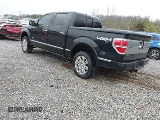 2013 Ford F-150 XL with VIN 1FTFW1ET5DFA49957, listed as a IAAI auction lot 41734397 with 265,121 mi miles. Bid and sale history available at carsss.com. Image 3.