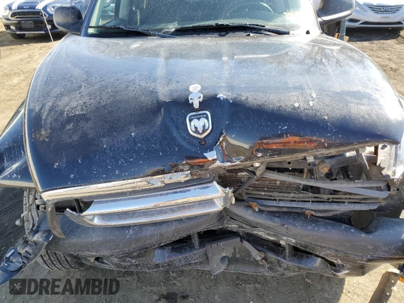 2004 Dodge Dakota Sport with VIN 1D7HG38K74S580630, listed as a Copart auction lot 46571505 with 0 mi miles and Salvage Title. Bid and sale history available at carsss.com. Image 12.