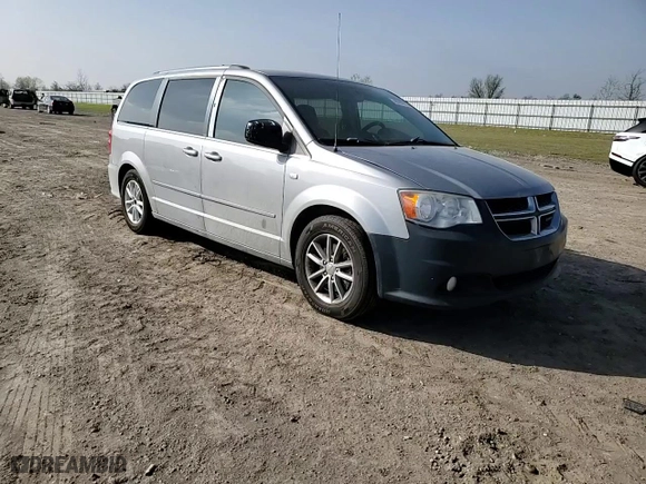 2014 Dodge Grand Caravan SXT 30th Anniversary with VIN 2C4RDGCG5ER258184, listed as a Copart auction lot 48787875 with 203,102 mi miles and Salvage Title. Bid and sale history available at carsss.com. Image 12.