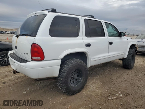 2000 Dodge Durango with VIN 1B4HS28Z1YF168392, listed as a Copart auction lot 89223475 with 299,799 mi miles and Salvage Title. Bid and sale history available at DreamBid. Image 3.