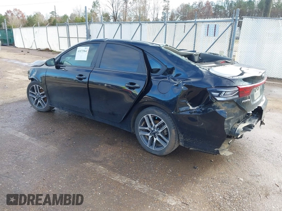 2019 Kia Forte S with VIN 3KPF34AD7KE066484, listed as a IAAI auction lot 41073964 with 118,946 mi miles. Bid and sale history available at carsss.com. Image 3.