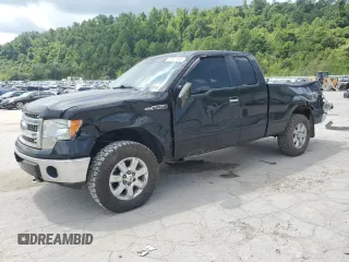 2013 Ford F-150 XL with VIN 1FTFX1EF1DFA59005, listed as a Copart auction lot 58820465 with 168,630 mi miles and Salvage title. Bid and sale history available at DreamBid. Image 1.