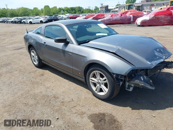 2013 Ford Mustang V6 with VIN 1ZVBP8AM3D5208951, listed as a IAAI auction lot 42246454 with 100,143 mi miles and . Bid and sale history available at DreamBid. Image 1.
