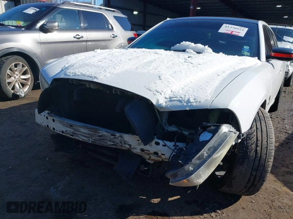 2013 Dodge Charger RT with VIN 2C3CDXCT7DH583673, listed as a IAAI auction lot 41370924 with 133,474 mi miles. Bid and sale history available at carsss.com. Image 6.