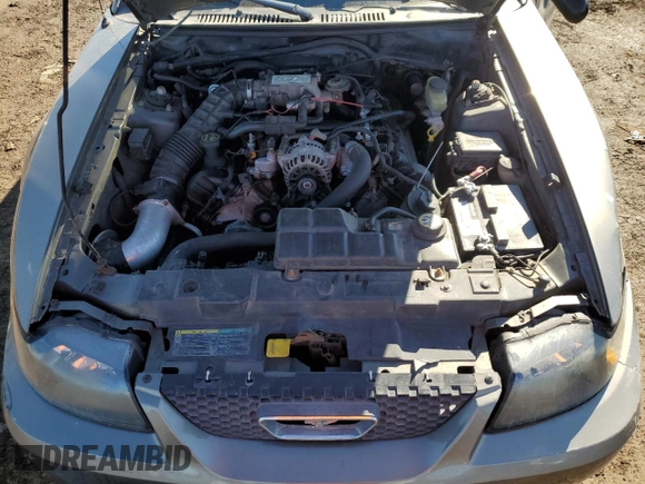 2002 Ford Mustang GT Deluxe with VIN 1FAFP42X02F222566, listed as a Copart auction lot 46365355 with 0 mi miles and Salvage Title. Bid and sale history available at carsss.com. Image 11.