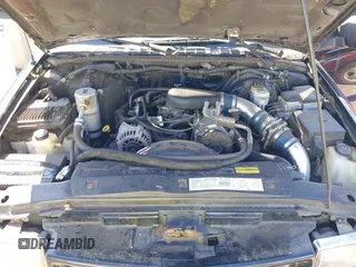 2000 Chevrolet Blazer LT z VIN 1GNDT13W0Y2353621, wystawiony jako IAAI lot #42053605 z przebiegiem 164 160 mil mil oraz . Historia ofert i sprzedaży dostępna na DreamBid. Obrazek 10.