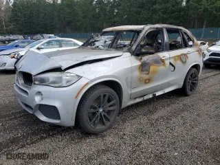 2016 BMW X5 xDrive50i with VIN 5UXKR6C5XG0J82954, listed as a Copart auction lot 51698445 with 0 mi miles and Salvage Title. Bid and sale history available at carsss.com. Image 1.