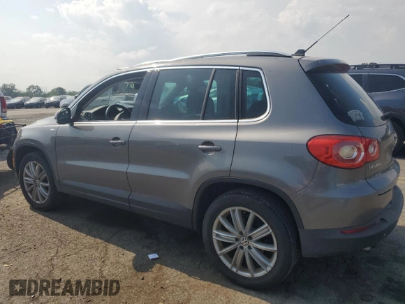 2010 Volkswagen Tiguan S with VIN WVGBV7AX5AW529484, listed as a Copart auction lot 62807895 with 135,197 mi miles and Salvage title. Bid and sale history available at DreamBid. Image 2.