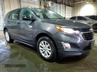 2019 Chevrolet Equinox LS with VIN 2GNAXHEV3K6203596, listed as a Copart auction lot 89193765 with 65,493 mi miles and Clean Title. Bid and sale history available at DreamBid. Image 4.