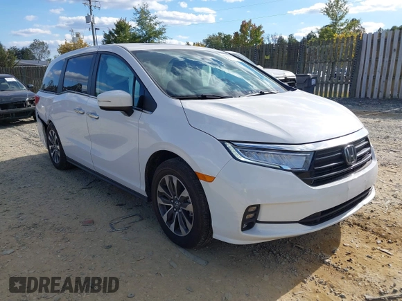 2024 Honda Odyssey EX-L with VIN 5FNRL6H65RB007535, listed as a IAAI auction lot 40602982 with 6,097 mi miles and . Bid and sale history available at DreamBid. Image 1.