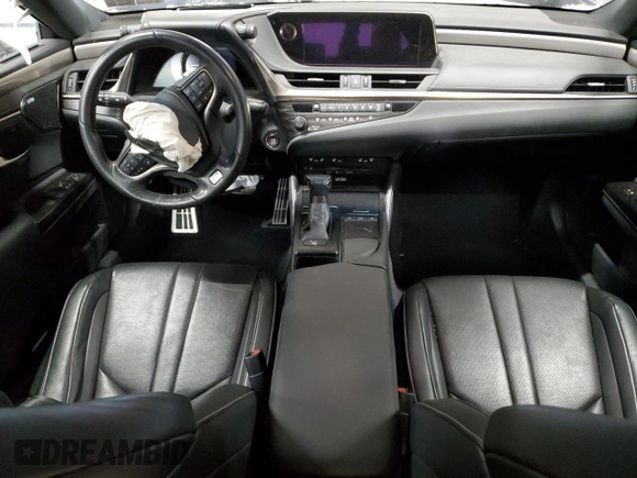 2019 Lexus ES 350 with VIN 58ABZ1B12KU002441, listed as a Copart auction lot 87595995 with Not provided miles and Salvage title. Bid and sale history available at DreamBid. Image 8.