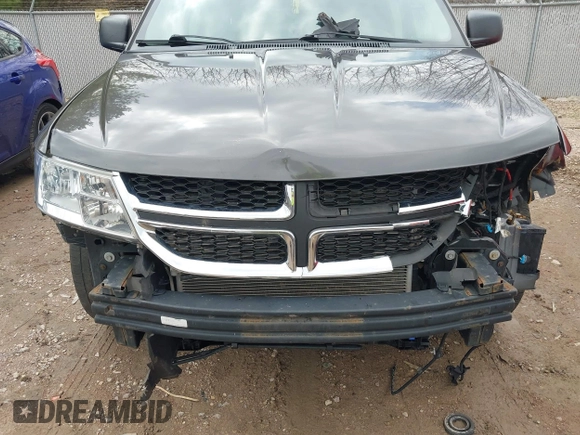 2017 Dodge Journey SE with VIN 3C4PDCAB1HT529623, listed as a IAAI auction lot 42097490 with 175,411 mi miles and . Bid and sale history available at DreamBid. Image 18.