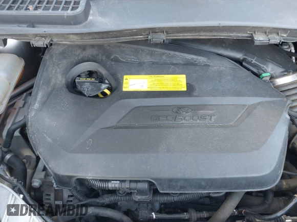 2016 Ford Escape SE with VIN 1FMCU9GX0GUA13421, listed as a IAAI auction lot 41788760 with 123,062 mi miles and . Bid and sale history available at DreamBid. Image 10.