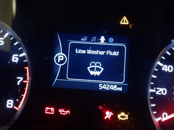 2019 Kia Sportage LX with VIN KNDPM3AC6K7591295, listed as a IAAI auction lot 41870202 with 54,246 mi miles. Bid and sale history available at carsss.com. Image 15.