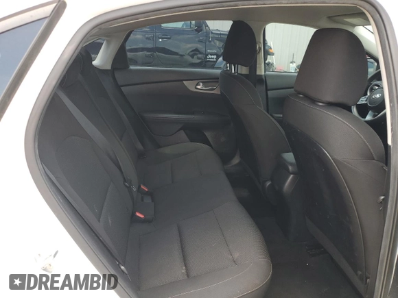 2019 Kia Forte LXS with VIN 3KPF24AD1KE073983, listed as a Copart auction lot 56288935 with 126,191 mi miles and Salvage title. Bid and sale history available at DreamBid. Image 10.