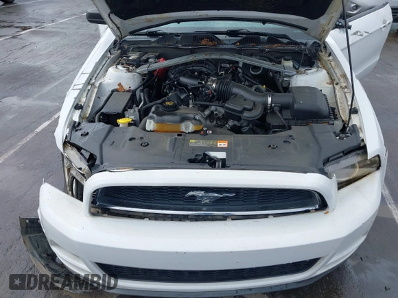 2014 Ford Mustang V6 with VIN 1ZVBP8EM2E5292126, listed as a IAAI auction lot 42117315 with 116,099 mi miles and . Bid and sale history available at DreamBid. Image 10.