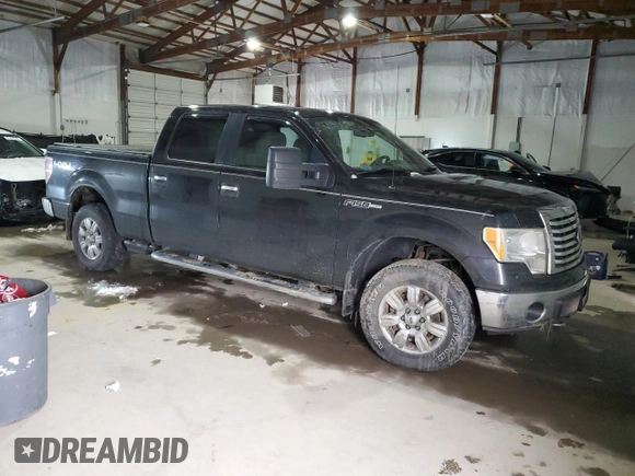 2010 Ford F-150 XL with VIN 1FTFW1EV8AFD31300, listed as a Copart auction lot 45961935 with Not Provided miles and Salvage Title. Bid and sale history available at DreamBid. Image 4.