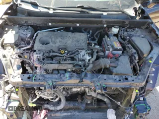 2019 Toyota RAV4 XLE with VIN JTMW1RFV1KD512263, listed as a Copart auction lot 50361875 with 49,028 mi miles and Salvage Title. Bid and sale history available at carsss.com. Image 12.