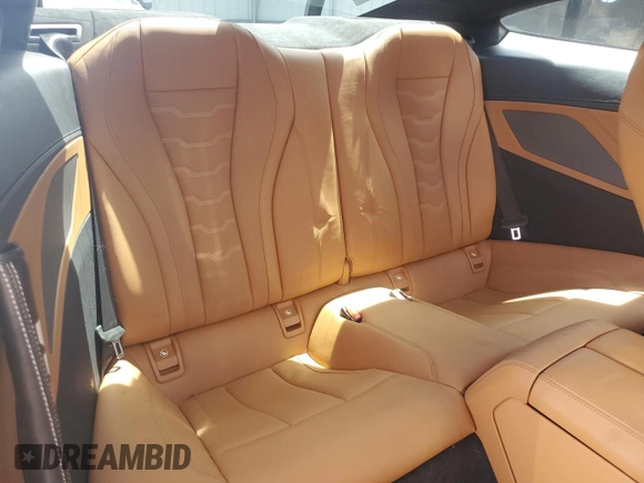 2019 BMW 8 Series M850i xDrive with VIN WBABC4C58KBU96829, listed as a Copart auction lot 54229794 with 20,285 mi miles and Salvage Title. Bid and sale history available at carsss.com. Image 10.