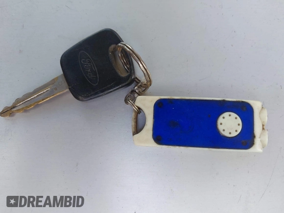 1999 Ford F-150 with VIN 1FTZF172XXNB31548, listed as a IAAI auction lot 42566104 with Not provided miles and . Bid and sale history available at DreamBid. Image 11.