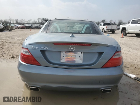 2013 Mercedes-Benz SLK 250 with VIN WDDPK4HA1DF057927, listed as a Copart auction lot 49314755 with 53,876 mi miles and Salvage title. Bid and sale history available at DreamBid. Image 6.