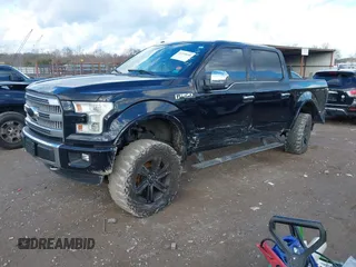 2016 Ford F-150 XLT with VIN 1FTEW1EG4GFA00476, listed as a IAAI auction lot 41218630 with Not provided miles and . Bid and sale history available at DreamBid. Image 2.