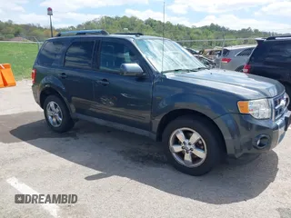 2009 Ford Escape Limited with VIN 1FMCU04769KD05945, listed as a IAAI auction lot 42065771 with 157,336 mi miles and . Bid and sale history available at DreamBid. Image 1.