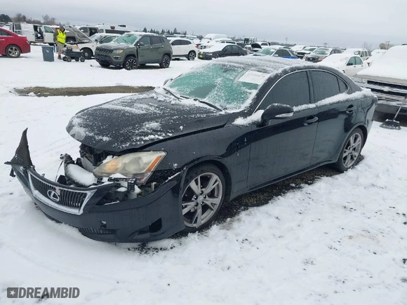 2009 Lexus IS 250 with VIN JTHBK262995103049, listed as a IAAI auction lot 41556675 with 202,265 mi miles. Bid and sale history available at carsss.com. Image 2.