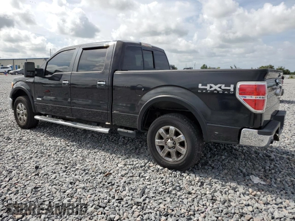 2013 Ford F-150 XL with VIN 1FTFW1ET9DFA25841, listed as a Copart auction lot 61506985 with 151,596 mi miles and Clean title. Bid and sale history available at DreamBid. Image 2.
