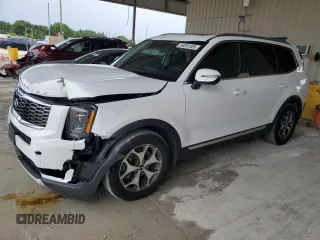 2020 Kia Telluride EX with VIN 5XYP34HCXLG047806, listed as a Copart auction lot 59591305 with 78,574 mi miles and Non repairable. Bid and sale history available at DreamBid. Image 1.