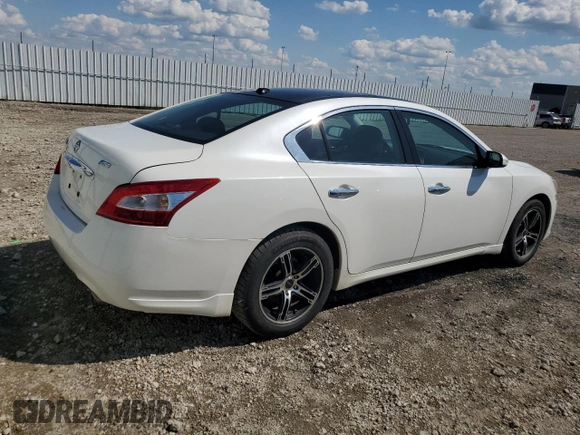 2011 Nissan Maxima SV z VIN 1N4AA5AP3BC822292, wystawiony jako Copart lot #61411155 z przebiegiem 224 273 mil mil oraz Szkoda całkowita • Salvage title. Historia ofert i sprzedaży dostępna na DreamBid. Obrazek 3.