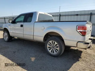 2010 Ford F-150 XL with VIN 1FTEX1CW0AFC65703, listed as a Copart auction lot 48744955 with 332,310 mi miles and Salvage Title. Bid and sale history available at carsss.com. Image 2.