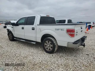 2009 Ford F-150 XL with VIN 1FTRW12859FA38350, listed as a Copart auction lot 44960265 with 145,502 mi miles and Salvage Title. Bid and sale history available at carsss.com. Image 2.