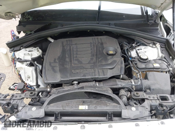 2019 Jaguar F-Pace 25t Premium with VIN SADCJ2FX3KA368653, listed as a IAAI auction lot 40724701 with 23,554 mi miles and . Bid and sale history available at DreamBid. Image 10.