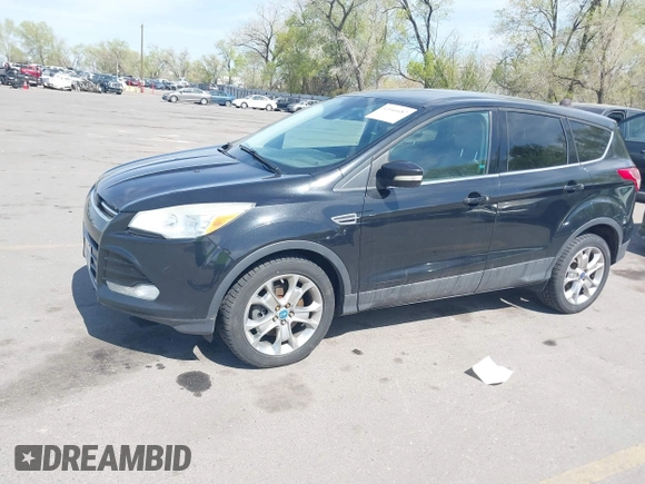 2013 Ford Escape SEL with VIN 1FMCU0H98DUB16061, listed as a IAAI auction lot 42046687 with 204,913 mi miles. Bid and sale history available at carsss.com. Image 2.