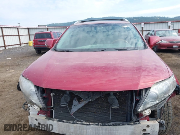 2010 Lexus RX 350 with VIN JTJBK1BA4A2428526, listed as a IAAI auction lot 42490187 with 304,669 mi miles and . Bid and sale history available at DreamBid. Image 12.